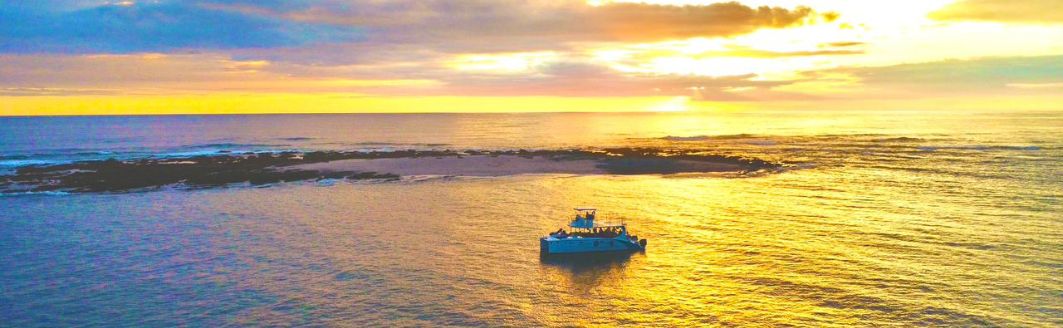 Catamaran Costa Rica Tours (3)