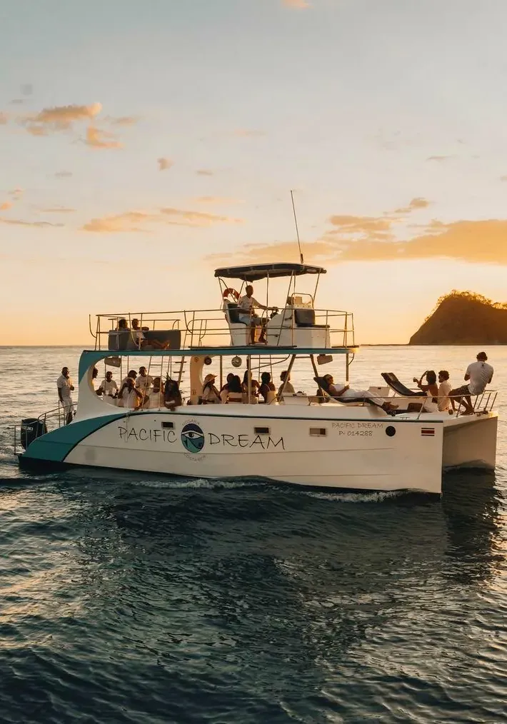 The Pacific Dream catamaran with guests on board, seen from the water as the sun sets behind the headland.